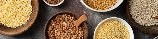 Foxtail Millet vs Other Grains