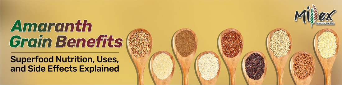 Amaranth Grain Benefits: Superfood Nutrition, Uses, and Side Effects Explained