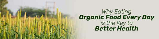 Eating Organic Food Every Day is the Key to Better Health