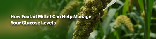 How Foxtail Millet Can Help Manage Your Glucose Levels