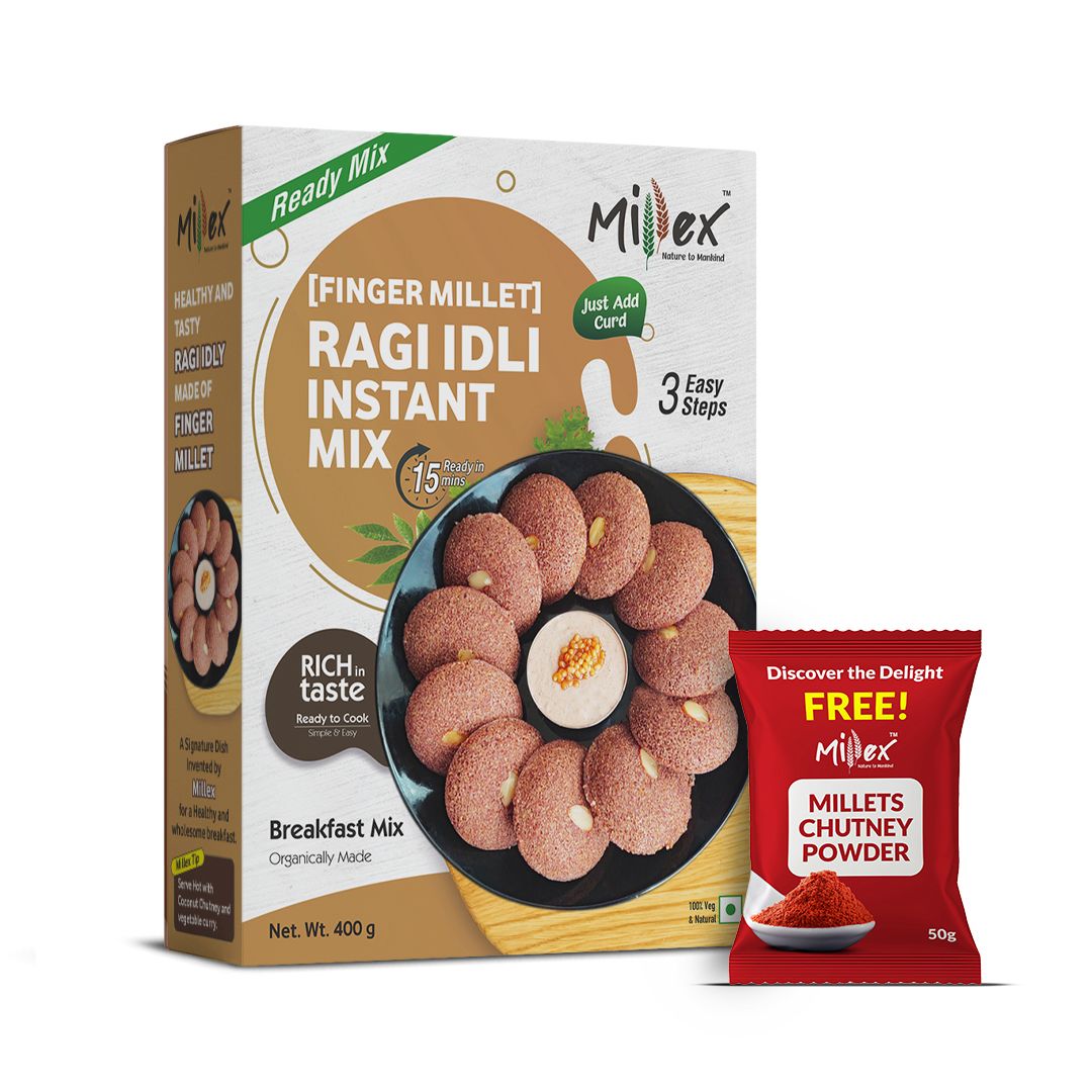 Ragi Idli Instant Mix - Pack of 3 (Total 1200g - each 400g)