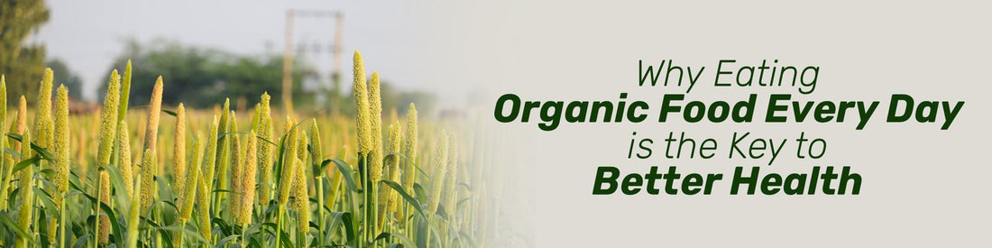 Eating Organic Food Every Day is the Key to Better Health