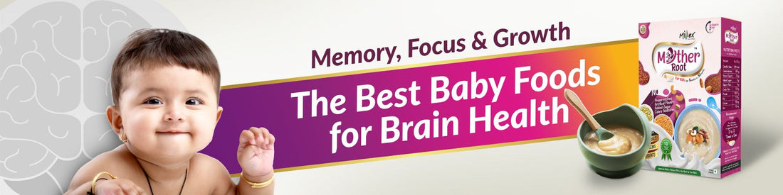 Memory, Focus & Growth: The Best Baby Foods for Brain Health