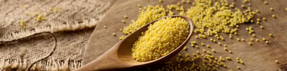 Top 5 Millets You Should Include in Your Diet for Weight Loss